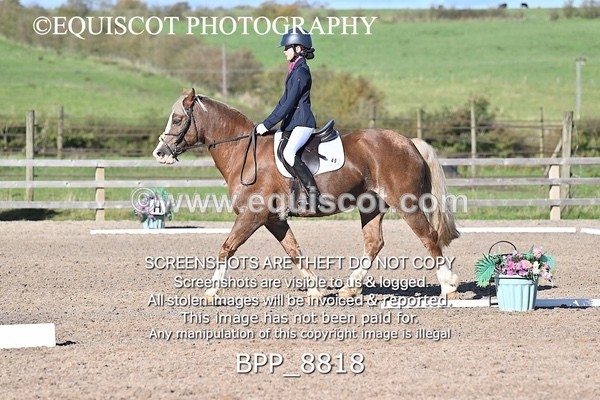 BPP_8818 - SHORT ARENA