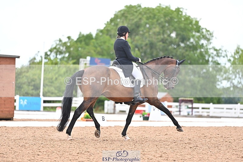 240815A-155658-02512 - 228-Nicola.Rapley-Scolari's.Glory