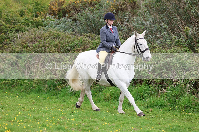 3E7A1131 - Class 7: Ridden Hunter Type