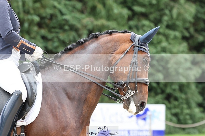 240810-144454-03725 - 175-Lucie.Stokoe-Led.Zeppelin