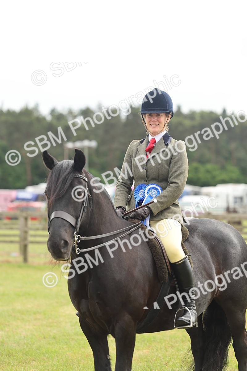 SBM_09158 - Class 78-80 - Ridden M&M Non Welsh Ponies