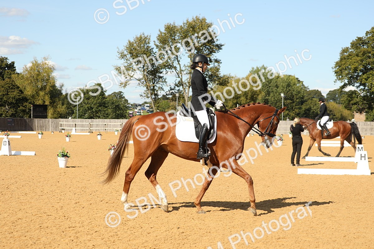 SBM_24604 - D17 - Grand Tour Championship - Novice 27