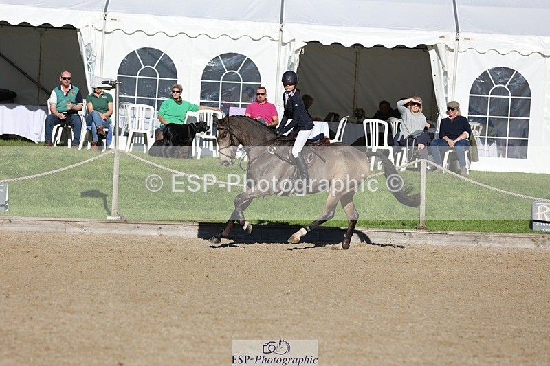 241027-114422-16956 - 319-Neve.Webber-MR.BUZZ