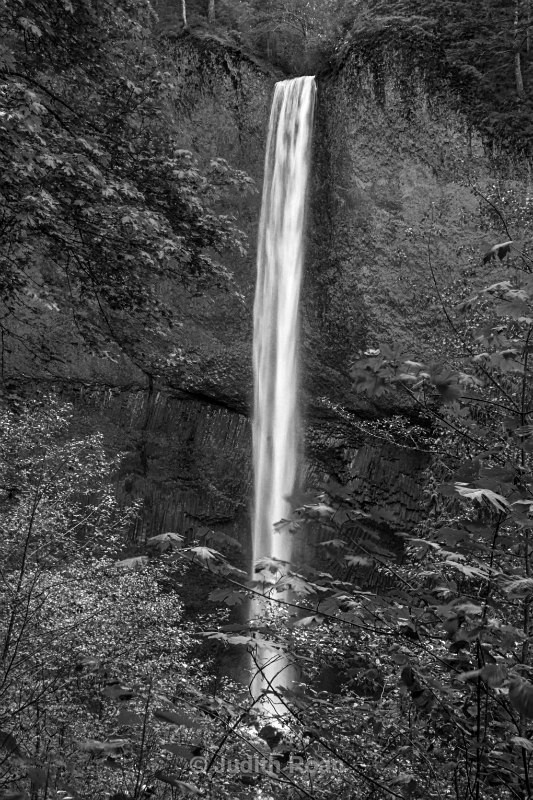 Latourell Fall - Pacific Northwest