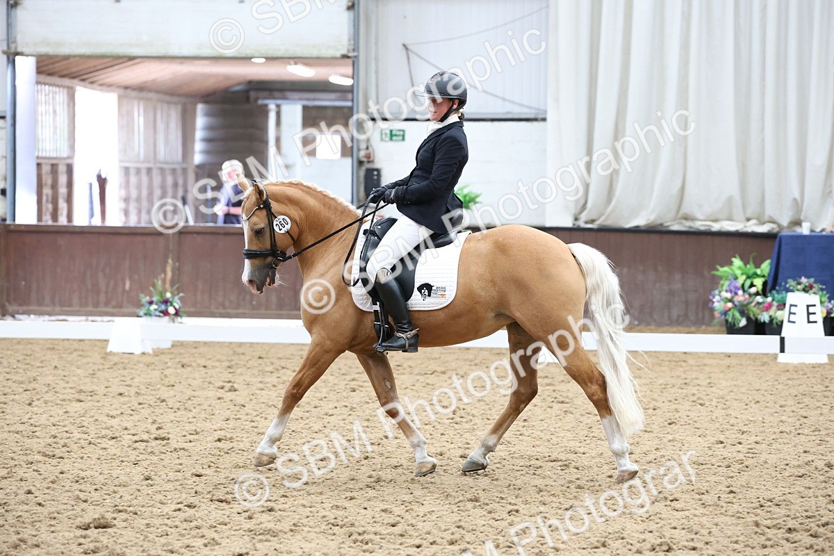 SBM_007557 - Class 23 - Medium FSM Bronze