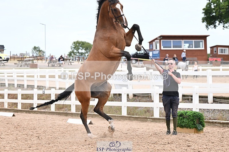 250716-155104-02224 - Trot Up 3.30 to 4.30