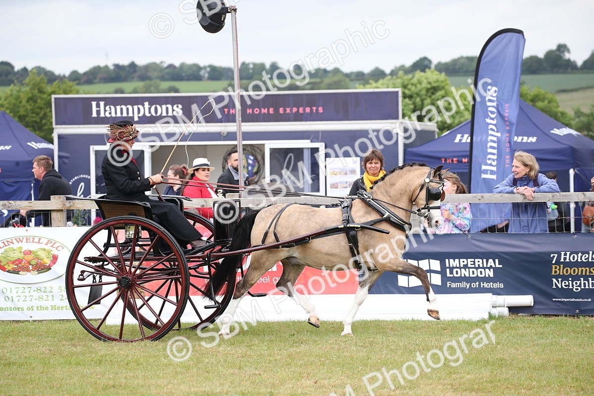 SBM_05897 - Class 12-15 - HOYS Private Driving