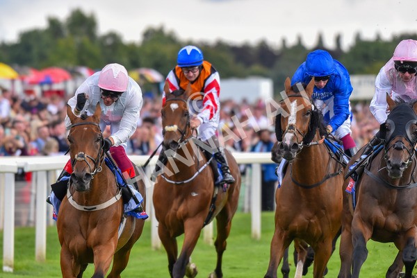 260823-Race 4-Absurde-0923 - Race 4 Sky Bet Ebor Handicap