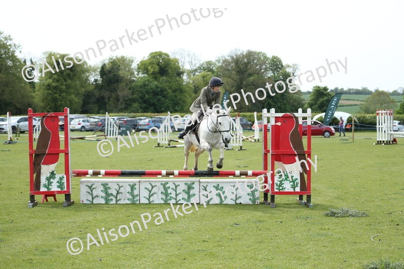20260426-2105 - Class 15 - Absolute Novice 70cm