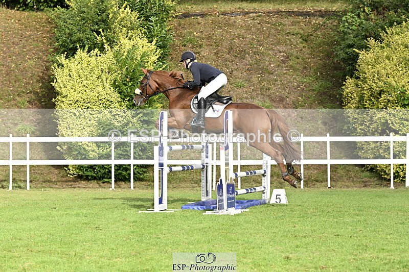 250831A-090003-09105 - Cls 34 Snr Foxhunter