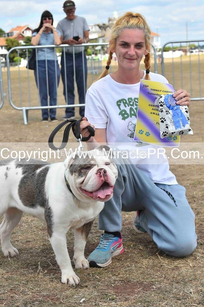 SH4_0201 - Dog show.