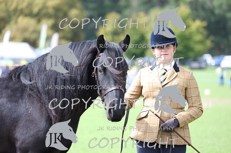 APP_2951 - Class 10a/b M&M in hand