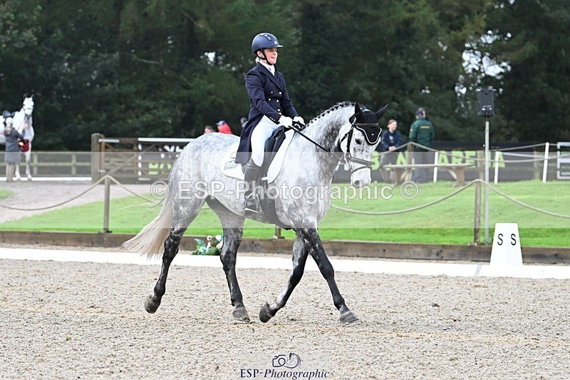 231019-094815-01219 - 028-BOLEYBAWN.COOLEY.LADY-Claire.Fielding-DR