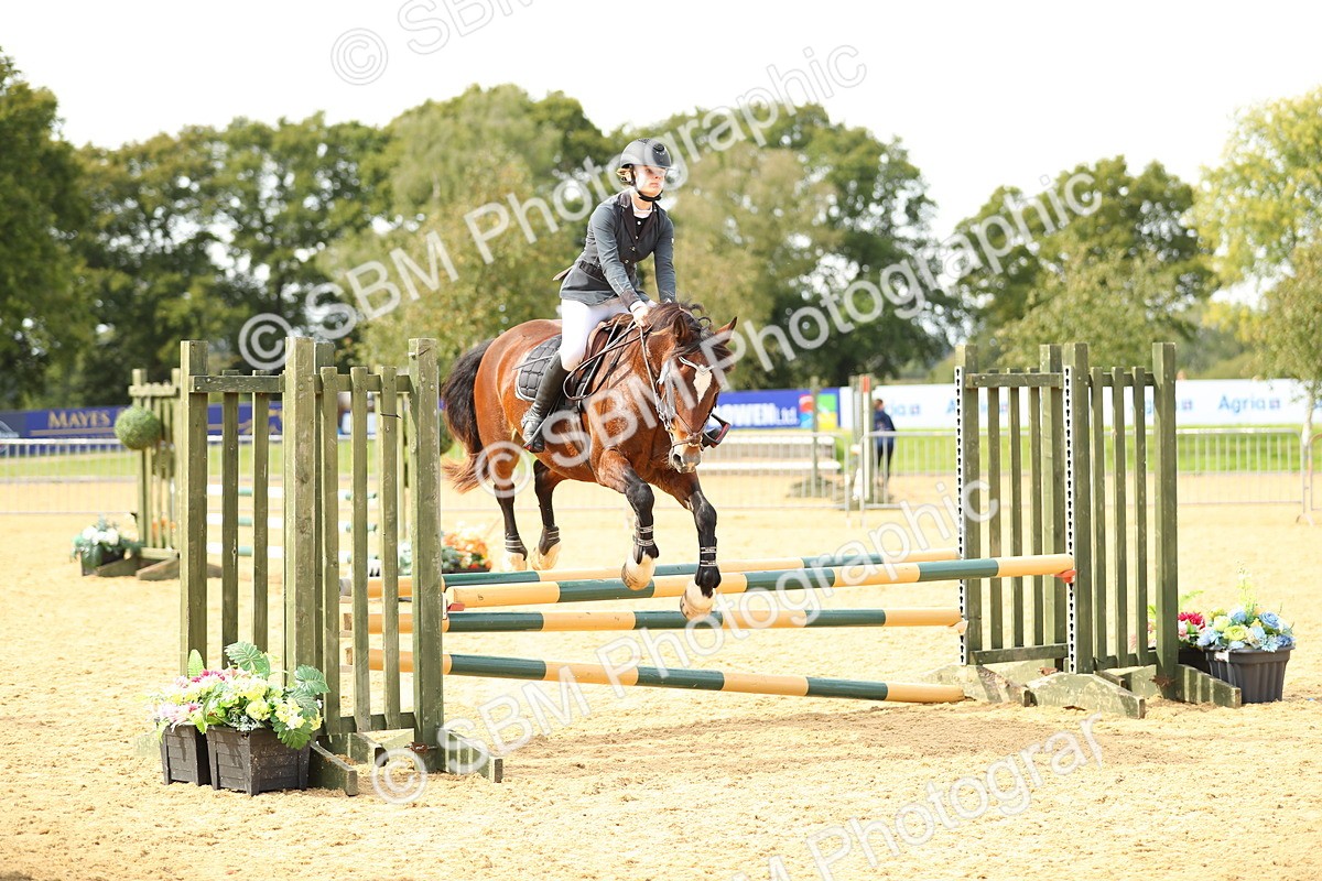 SBM_67174 - J17 - Junior Pony 80cm Championship