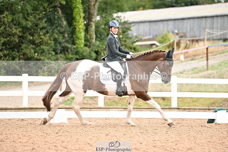 240817A-110319-07269 - 132-Nicky.Turriff-Witchcombe.Music.Man