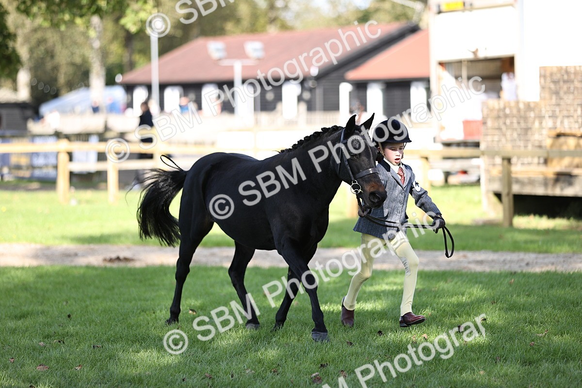 SBM_26236 - S5 - Novice & Newcomers In Hand