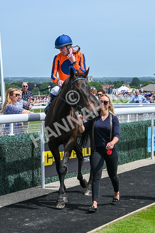 300526-Race 1-Sportingsilvermine-4204 - Race 1 13.45pm Napoleons Casino Hull Handicap