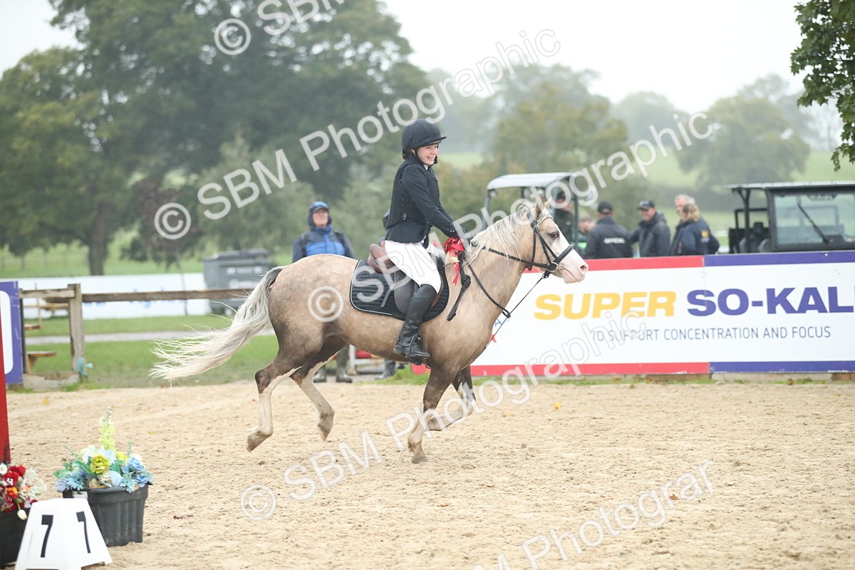 SBM_74368 - Supreme championship Junior Pony 70cm 75cm