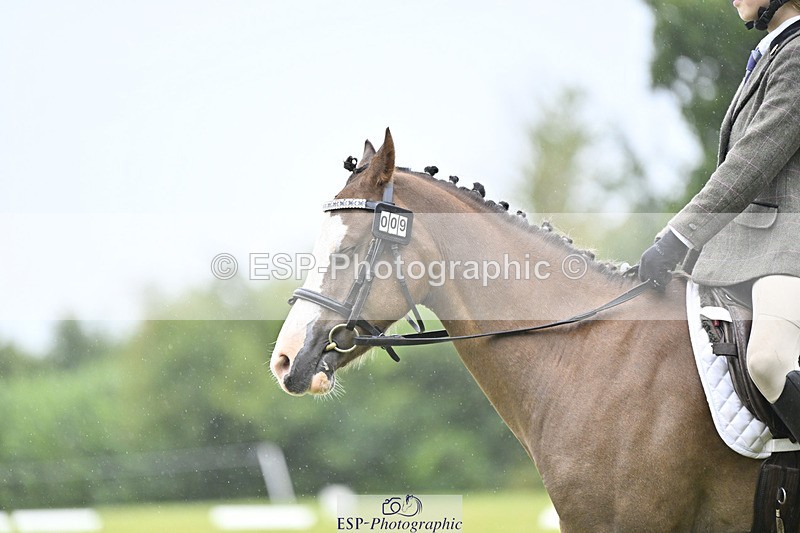 240824X-092842-21301 - D70 Section A and B 8.30 to 9.30