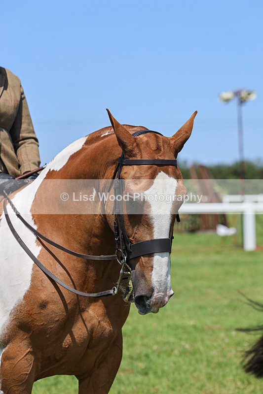 IMG_2546 - Class 38: Veteran Ridden