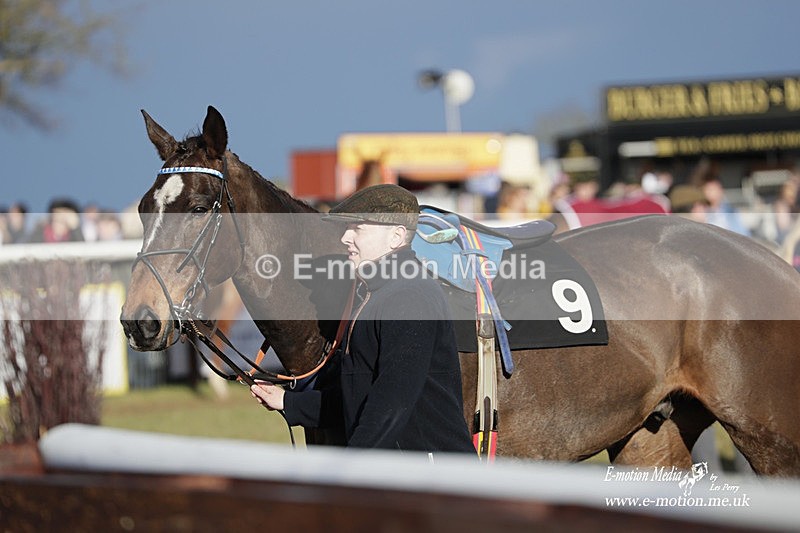 PtP 180323 1352 - Shelfield Park Races with Croome & West Warwickshire Hunt  18/03/23