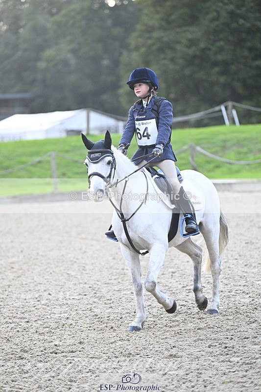 251005A-081210-02717 - Cls 01 GR 40cm