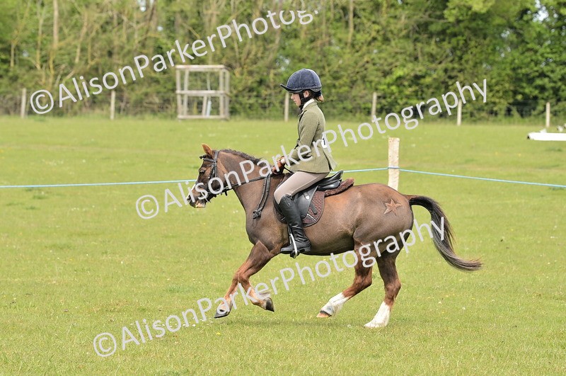 20260426-2441 - Class 21 - Working Hunter Ponies