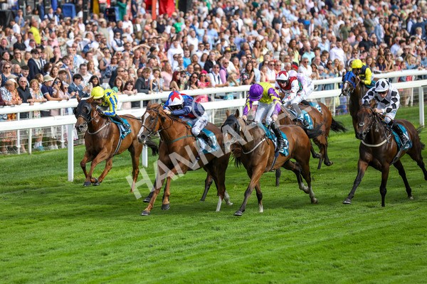 260724-Race 1-Craven-3928 - Race 1 5.30pm eventmasters.co.uk Handicap