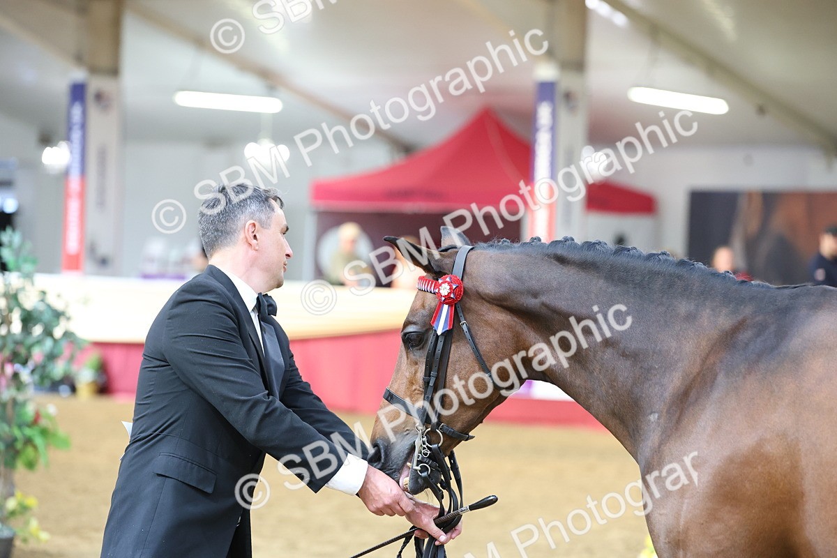 SBM_23370 - Class 903 - Supreme Final - IH Pre Vet