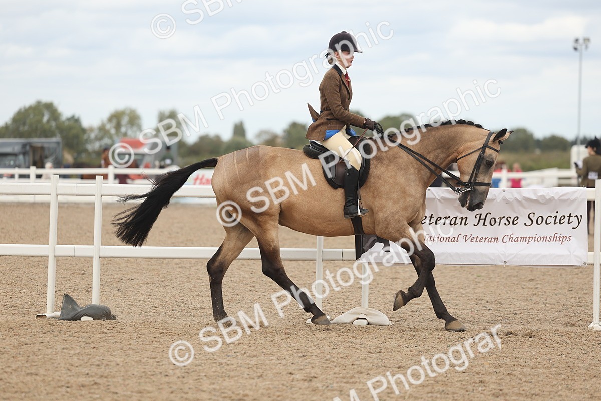 SBM_18133 - Class 315 - Best Horse-Rider Combination