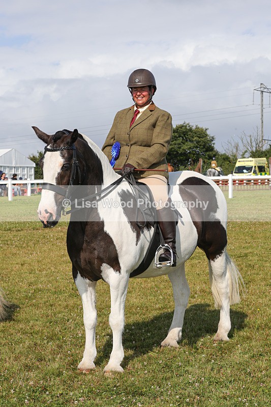 1X9A3415 - Class 28: Ridden Native/Trad Coloured Pony