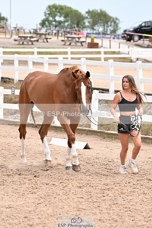 250716-144508-01365 - Trot Up 2.30 to 3.30