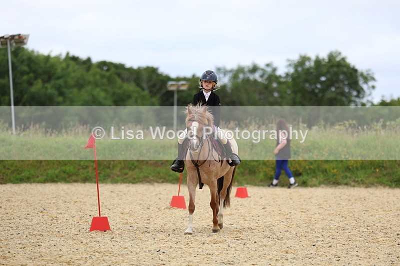 3E7A9428 - Walk trot run