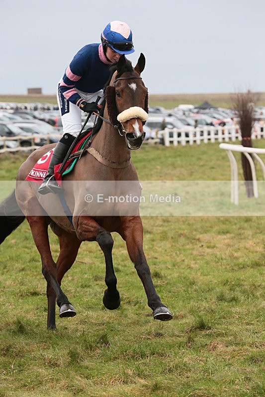 PtP 060119 93 - Larkhill Racing Club - Point-to-Point- 06/01/2019