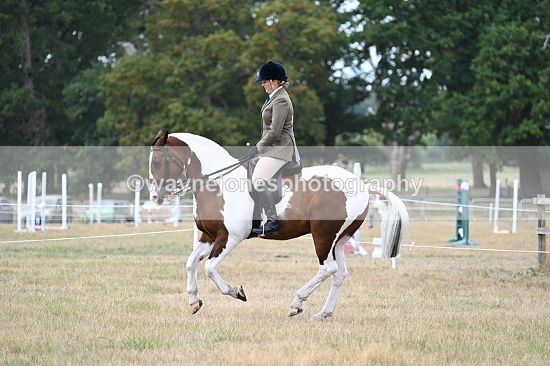 WJ7_5062 - Class 12 Ridden Cob