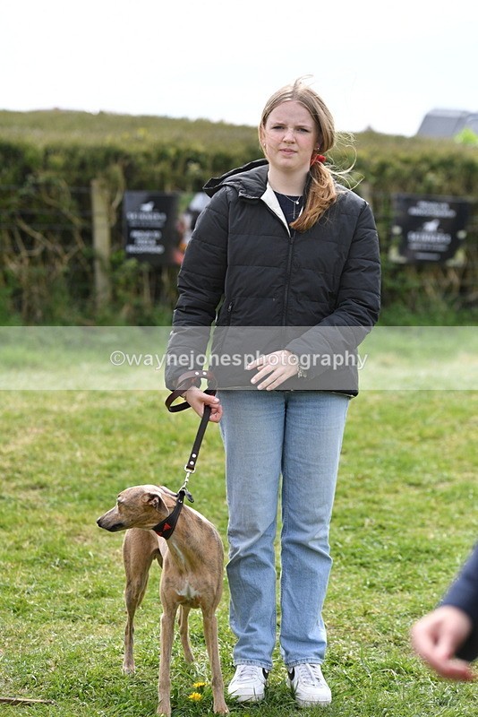 WJ5_9850 - Class 3 Most Handsome Dog