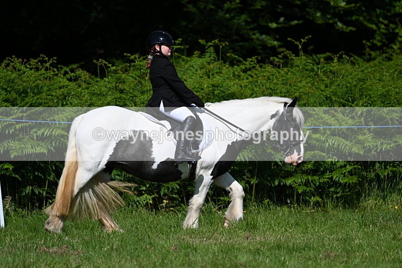 WJ7_0746 - Class 8 First Rally Pony
