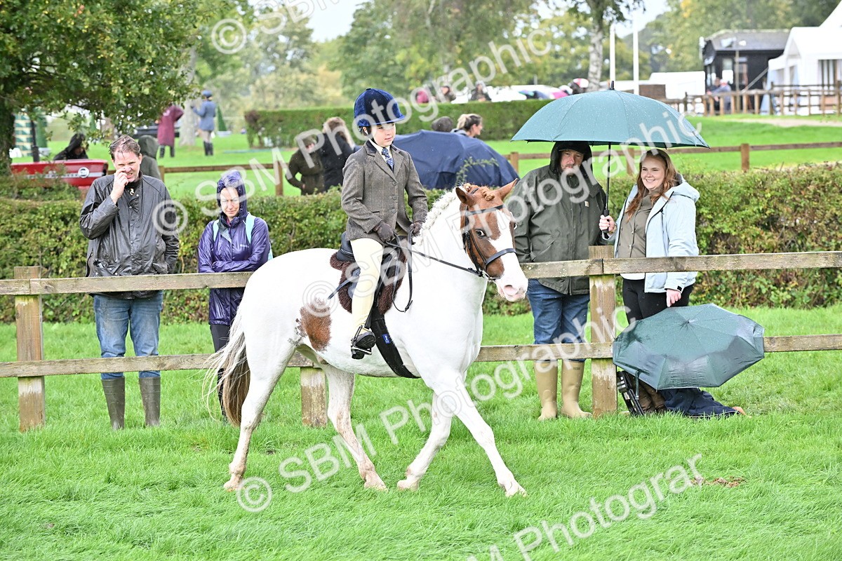 SBM_43044 - S12 - Family Horse & Pony