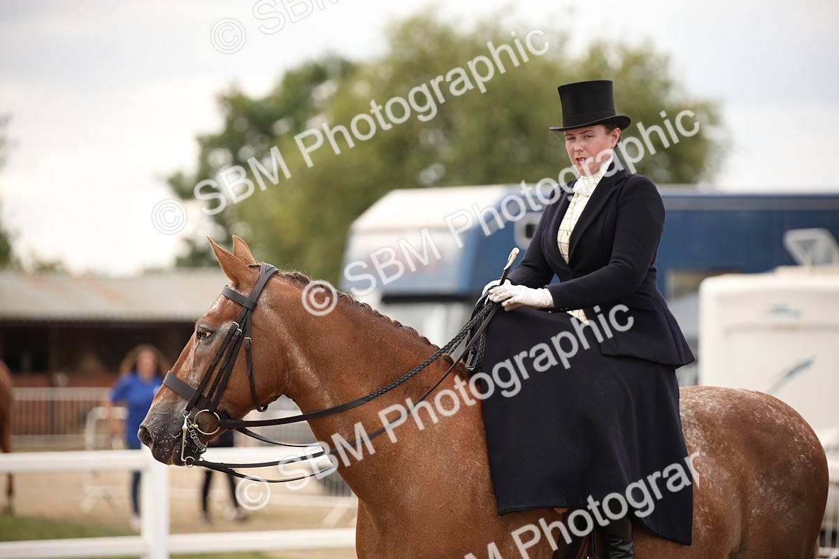 SBM_05389 - Class 22 SSA Equitation