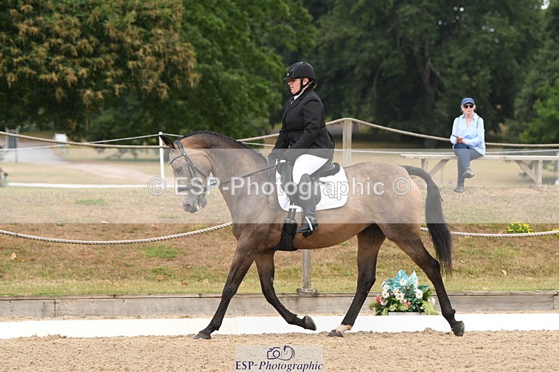 250719A-104213-03970 - 127-Jocelyn.Gilmore-Spring.Lily