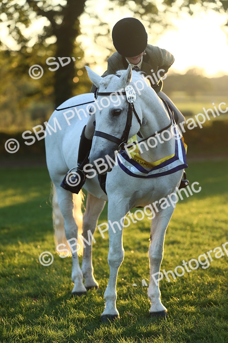 SBM_56677 - Fun & Versatile Supreme Championship
