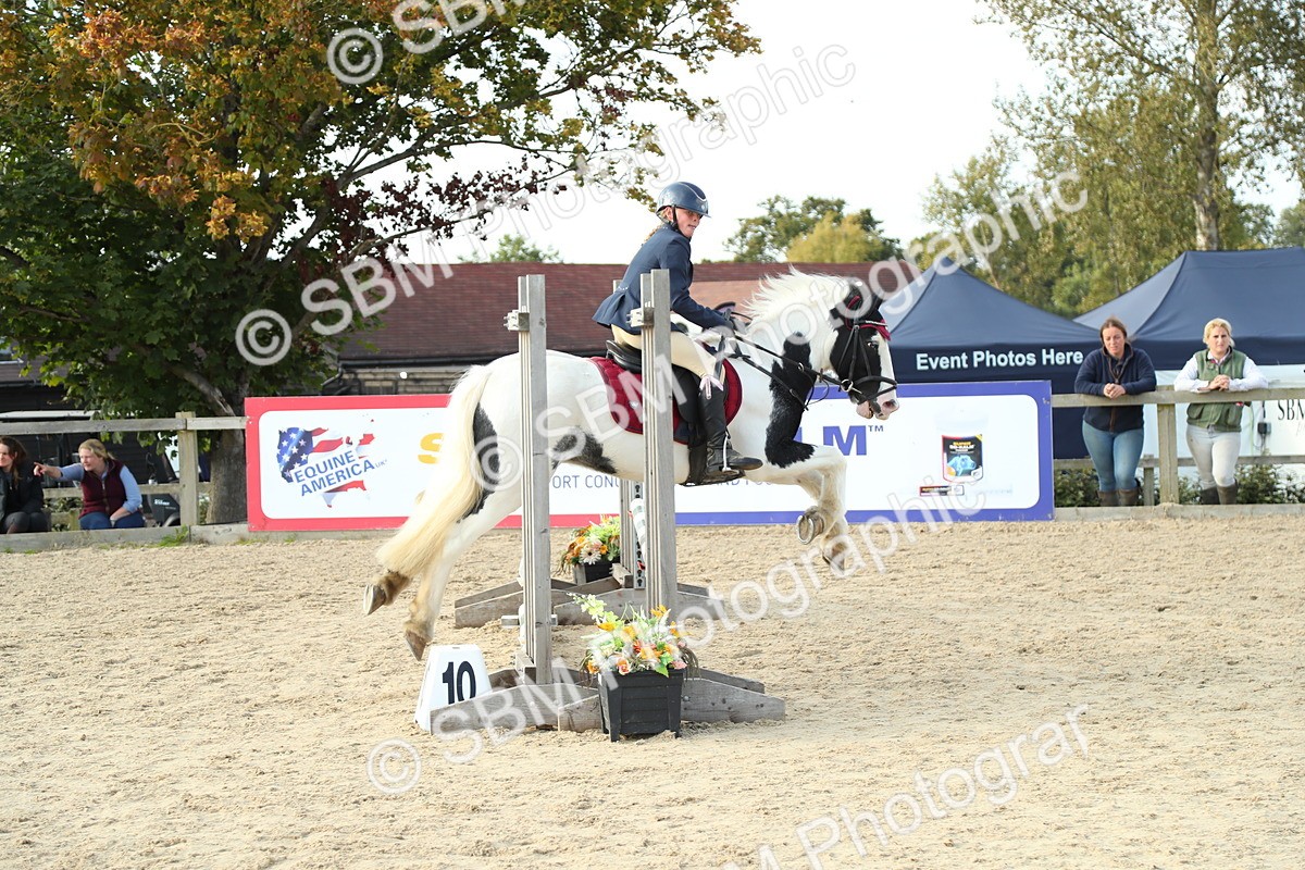 SBM_53543 - J8 - Junior Pony 65cm Championship
