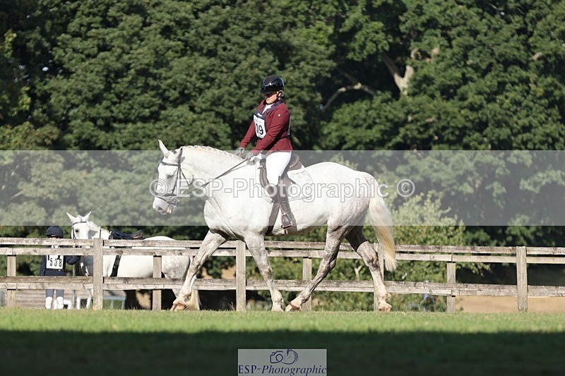 250823A-092702-25975 - Arena D