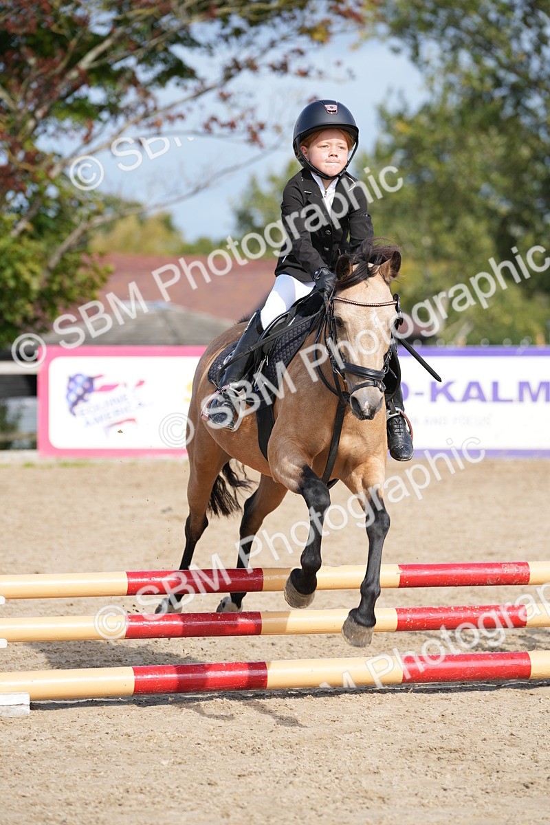 SBM_17779 - J58 - Clear Round 50cm