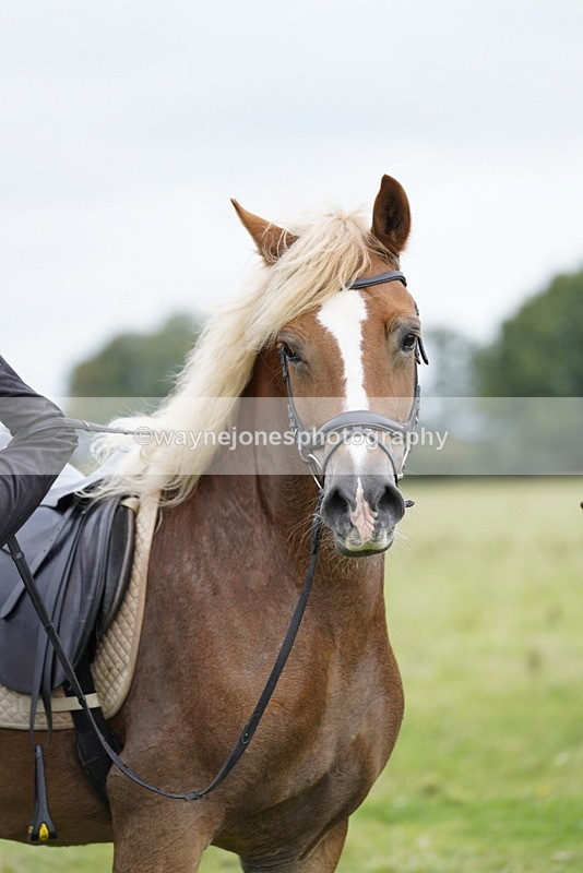 _DSC7912 - Time at Photographer 11:57 to 12:36