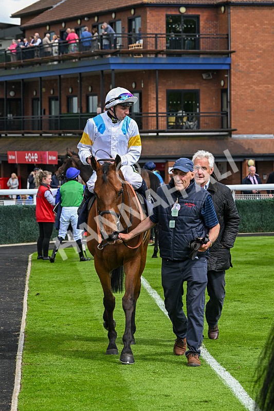 290524-Race 5-Distinction-6507 - Race 5