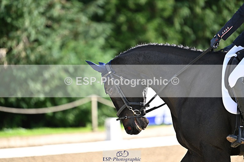 241023-143823-00562 - 002-Ellie.Fredericks-BRITANNIA'S.OLIVE