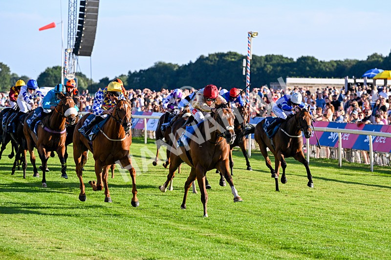 240726-Race 4-Rajaking-5334 - Race 4 19.15pm Tomahawk Handicap