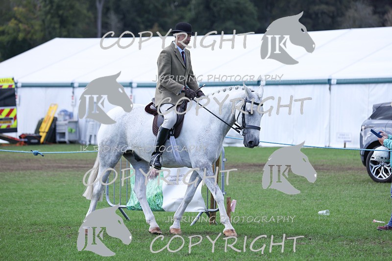 APP_4133 - Class 15a/b Pony club pony/Riding club horse