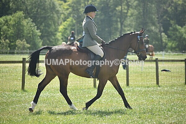 DSC_9228 - Rings 1 & 2
